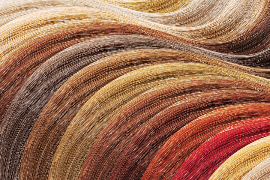 Hair Color Category Banner