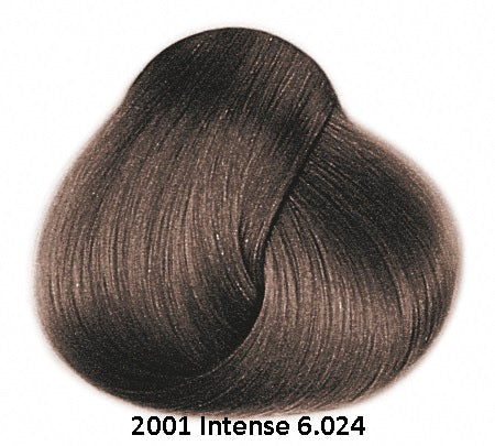 Framesi Framcolor 2001 Intense Permanent Haircolor dark blonde moka 6.024