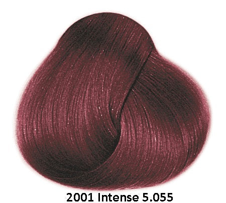 Framesi Framcolor 2001 Intense Permanent Haircolor deep dark red 5.055