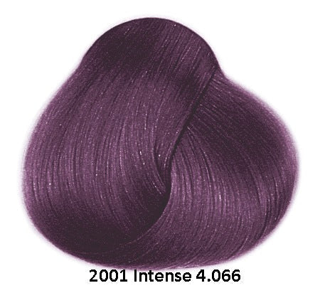 Framesi Framcolor 2001 Intense Permanent Haircolor dark violet 4.066