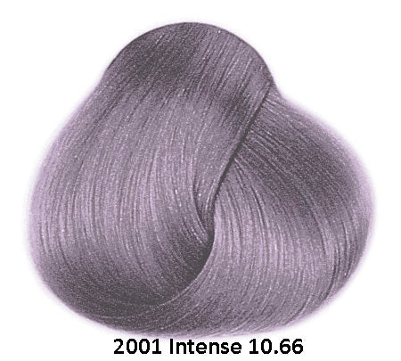 Framesi Framcolor 2001 Intense Permanent Haircolor violet platinum blonde 10.66