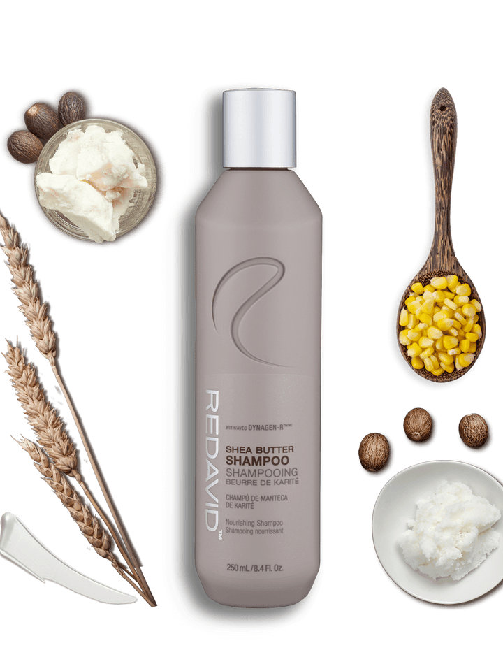 Redavid Shea Butter Shampoo